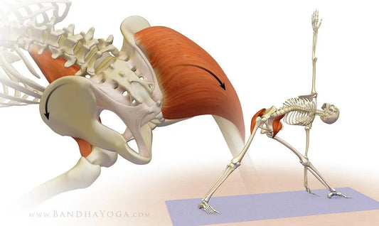 Awaken Your Psoas