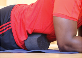 Close-up of the Wedge in position in the Body Wedge manual